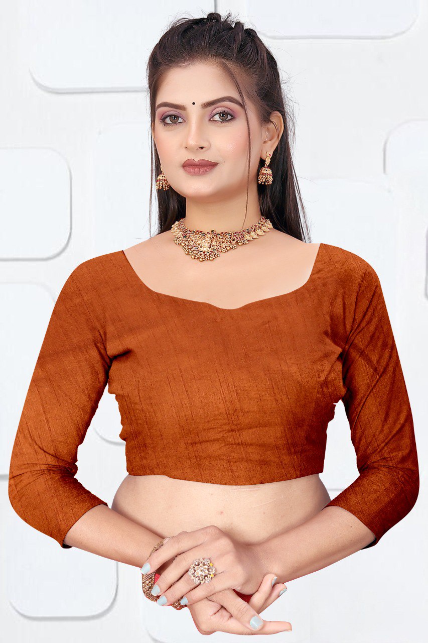 Elegant Dola Silk Saree in Deep Brown with Siroski Work Border