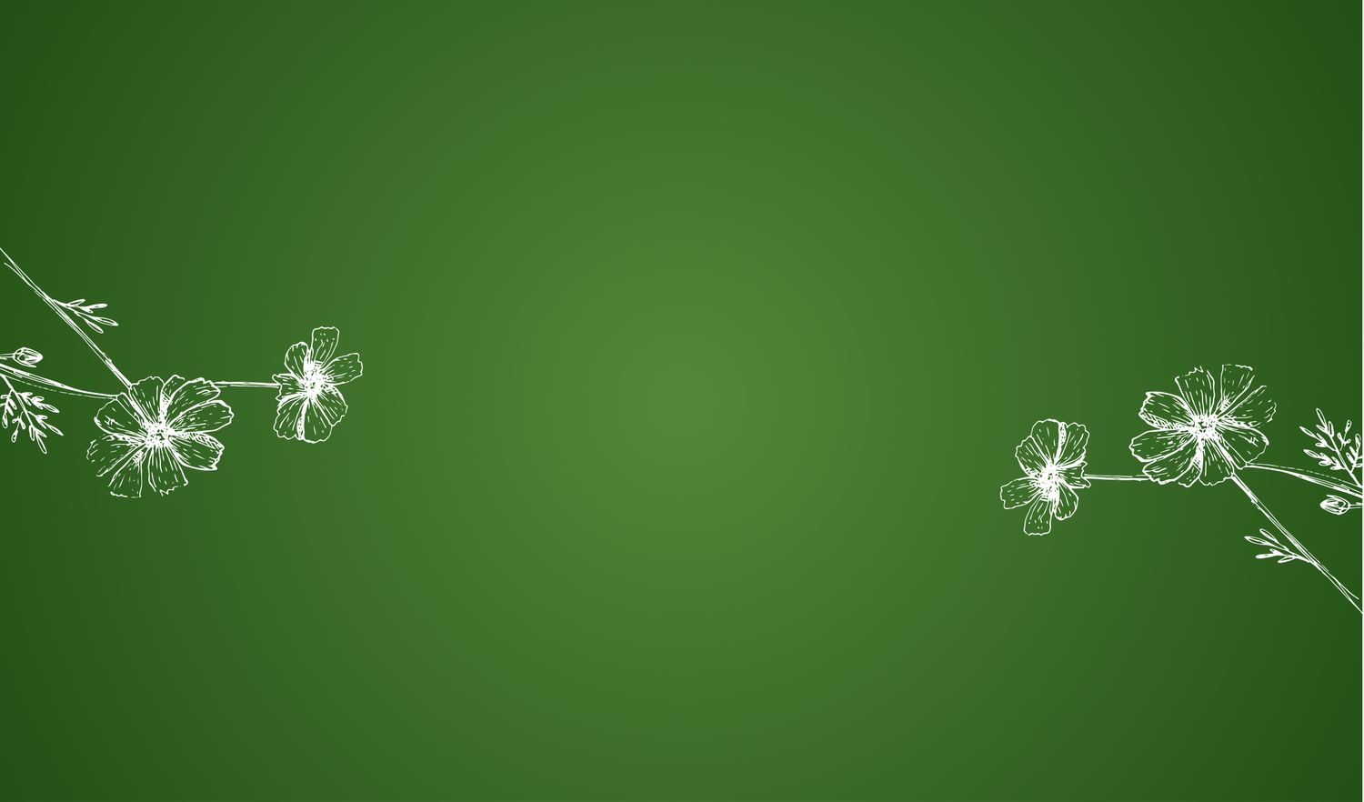 collection-banner-image